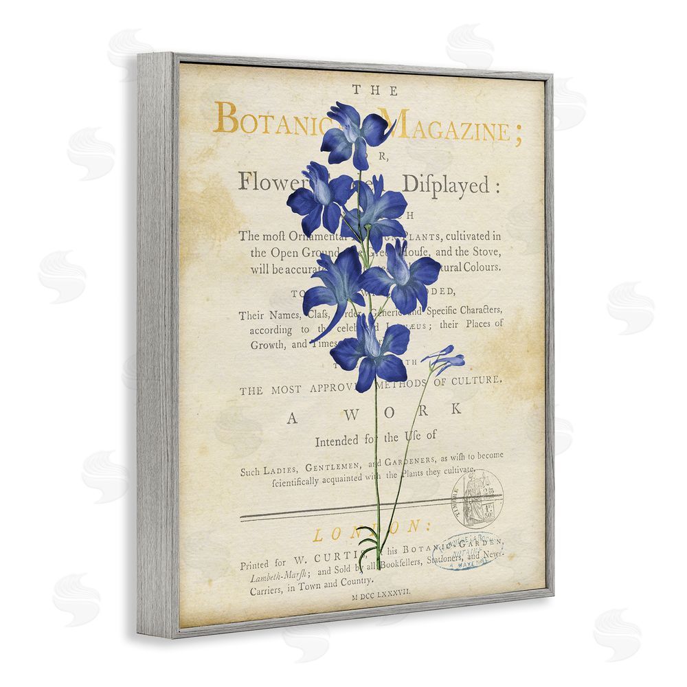 Susan Arnot Natural Botanic Garden Flower Gray Framed Giclee Wall Art Print