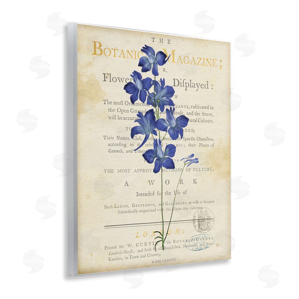 Susan Arnot Natural Botanic Garden Flower Wooden Wall Plaque Art Print