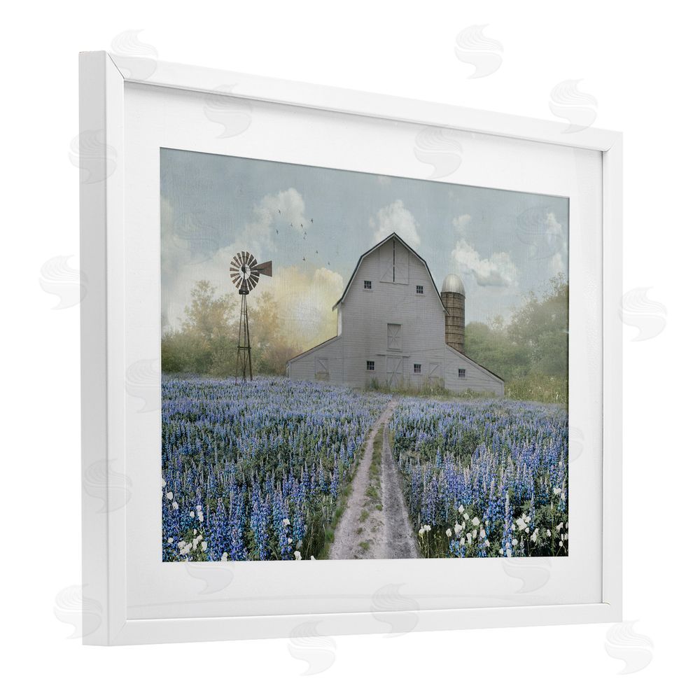 Nan Meadow of Blue Flowers & Barn White Framed Print Under Glass Wall Art