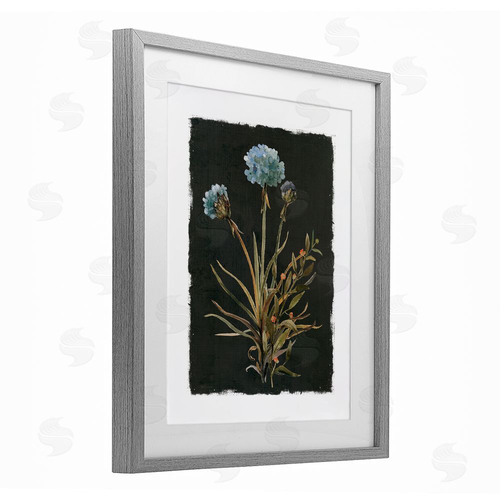 Carol Robinson Cerulean Bloom on Dark Green Gray Framed Print Under Glass Wall Art
