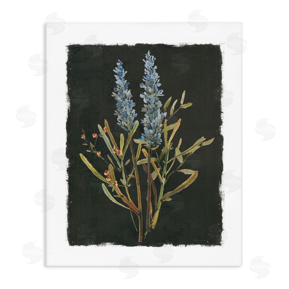 Carol Robinson Lavender Sprigs on Dark Background Stretched Canvas Wall Art Print