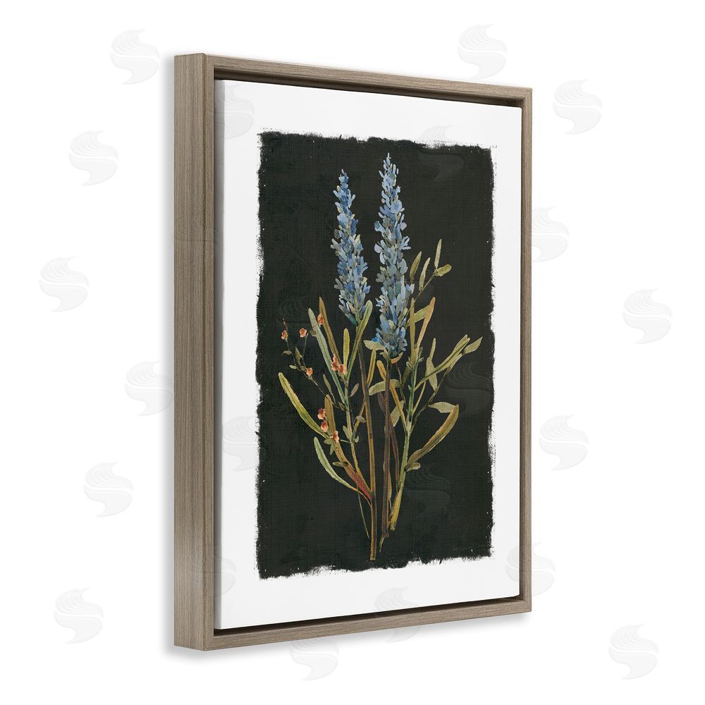 Carol Robinson Lavender Sprigs on Dark Background Brown Floating Frame Canvas Wall Art Print