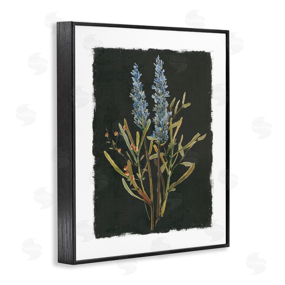Carol Robinson Lavender Sprigs on Dark Background Black Framed Giclee Wall Art Print