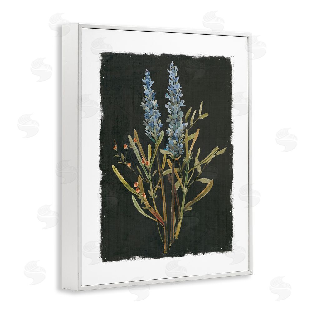 Carol Robinson Lavender Sprigs on Dark Background White Framed Giclee Wall Art Print