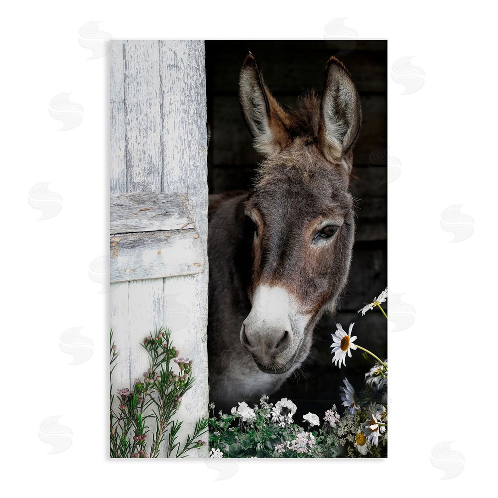 CAD Designs Gentle Donkey Peering from Barn Stretched Canvas Wall Art Print