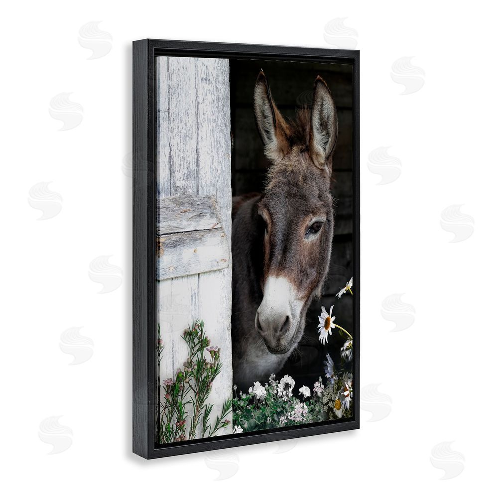 CAD Designs Gentle Donkey Peering from Barn Black Floating Frame Canvas Wall Art Print