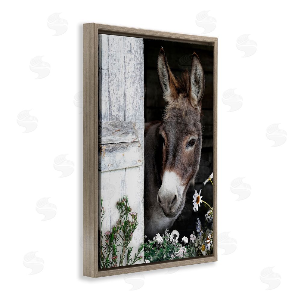 CAD Designs Gentle Donkey Peering from Barn Brown Floating Frame Canvas Wall Art Print