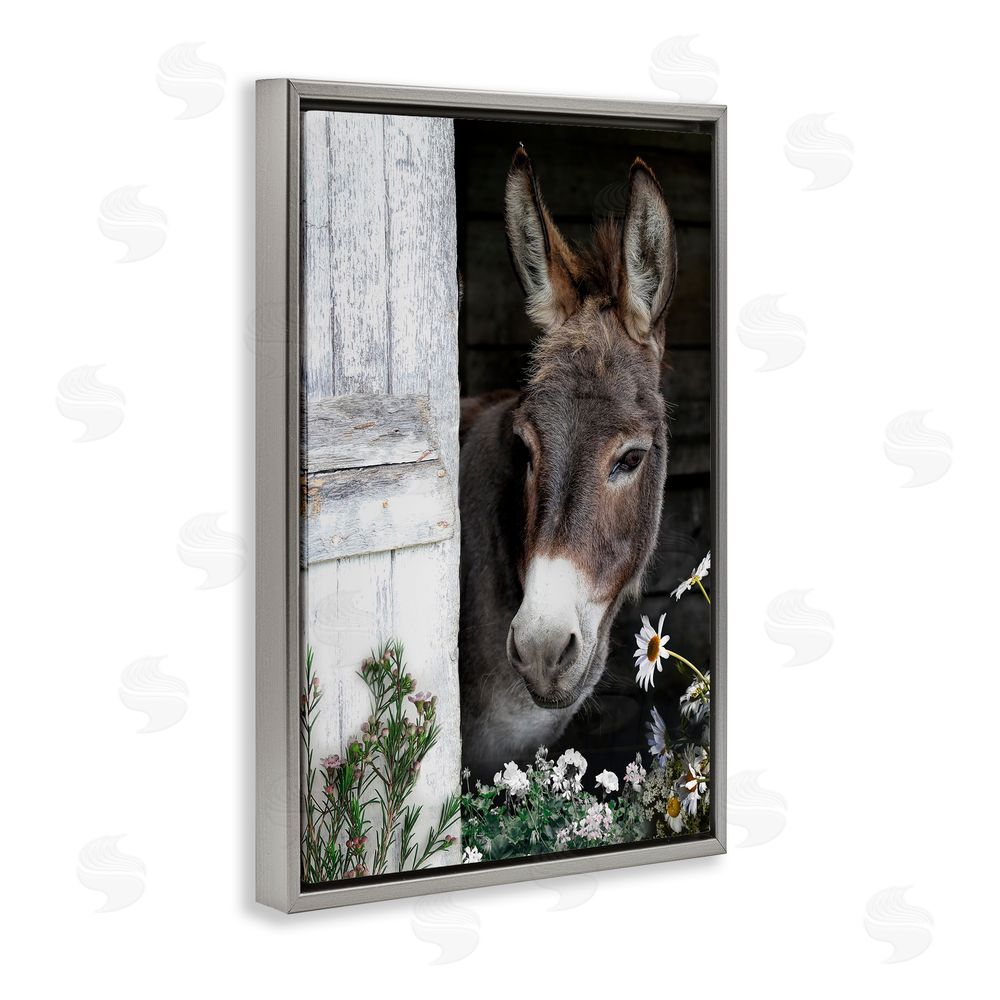 CAD Designs Gentle Donkey Peering from Barn Gray Floating Frame Canvas Wall Art Print