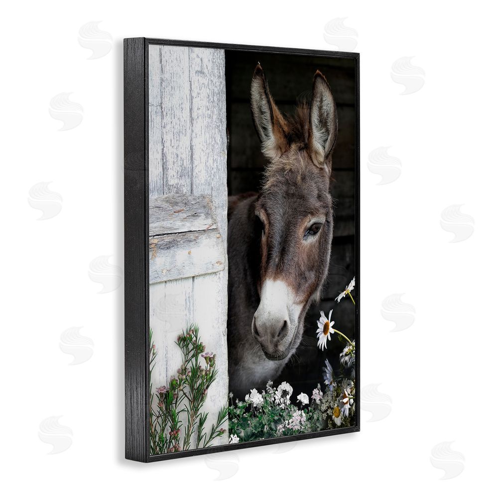CAD Designs Gentle Donkey Peering from Barn Black Framed Giclee Wall Art Print