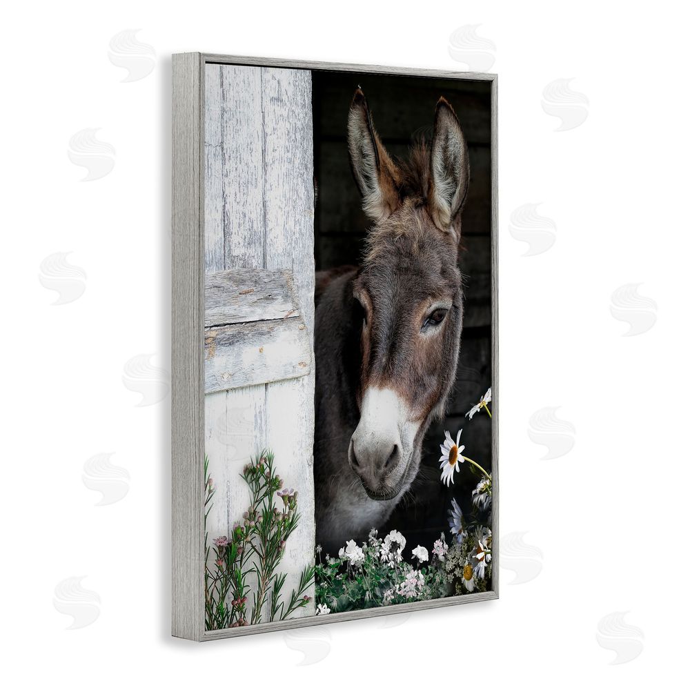 CAD Designs Gentle Donkey Peering from Barn Gray Framed Giclee Wall Art Print