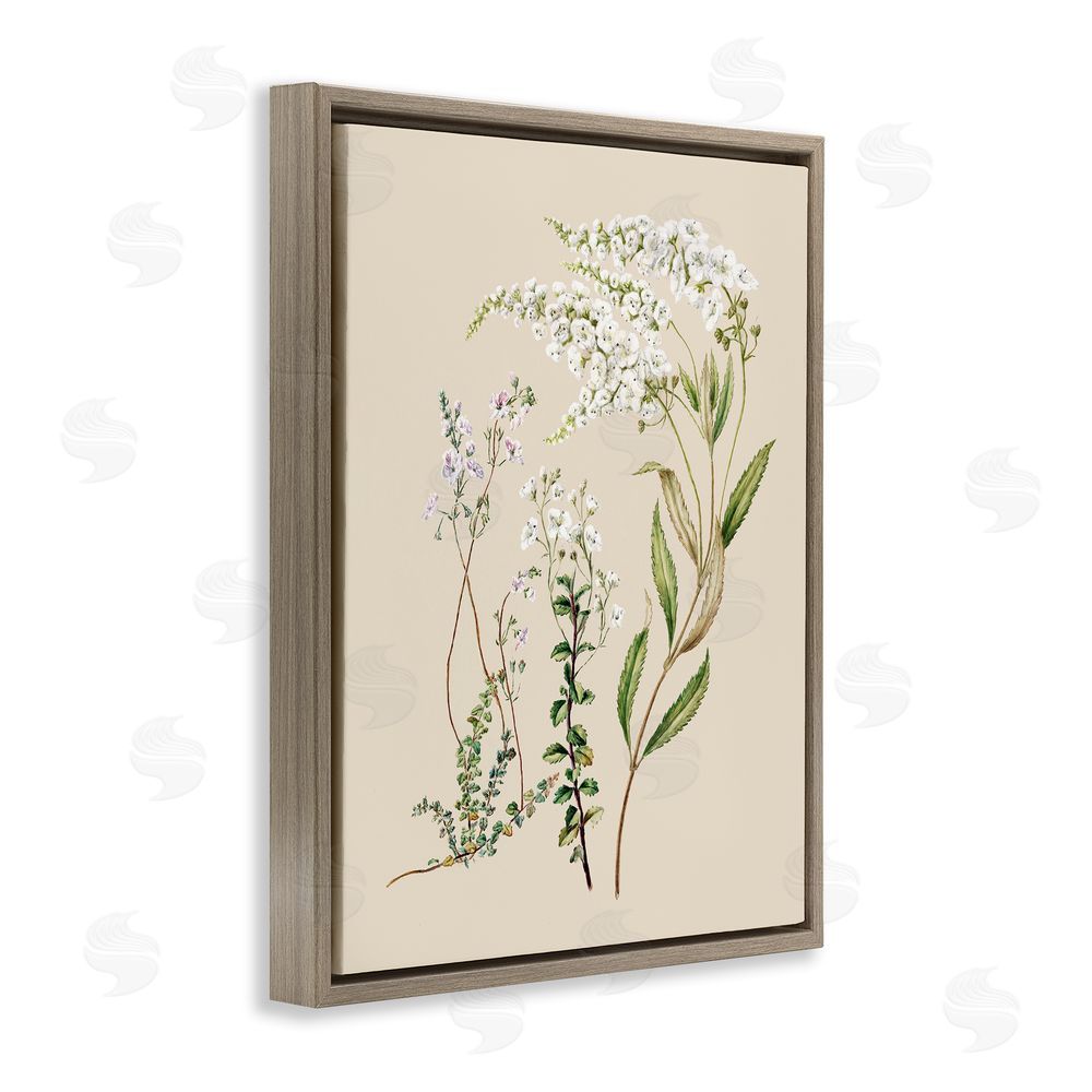 1x Curving White Wildflower Study Brown Floating Frame Canvas Wall Art Print