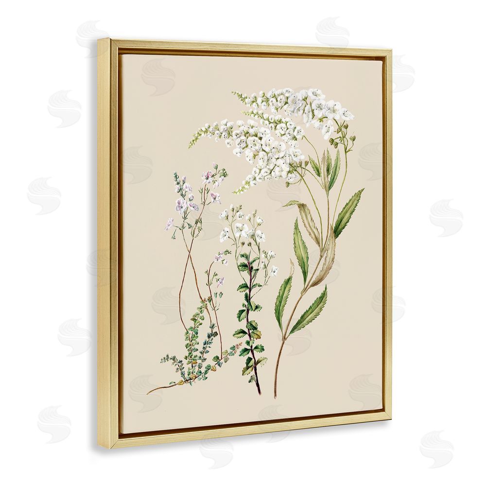 1x Curving White Wildflower Study Gold Floating Frame Canvas Wall Art Print