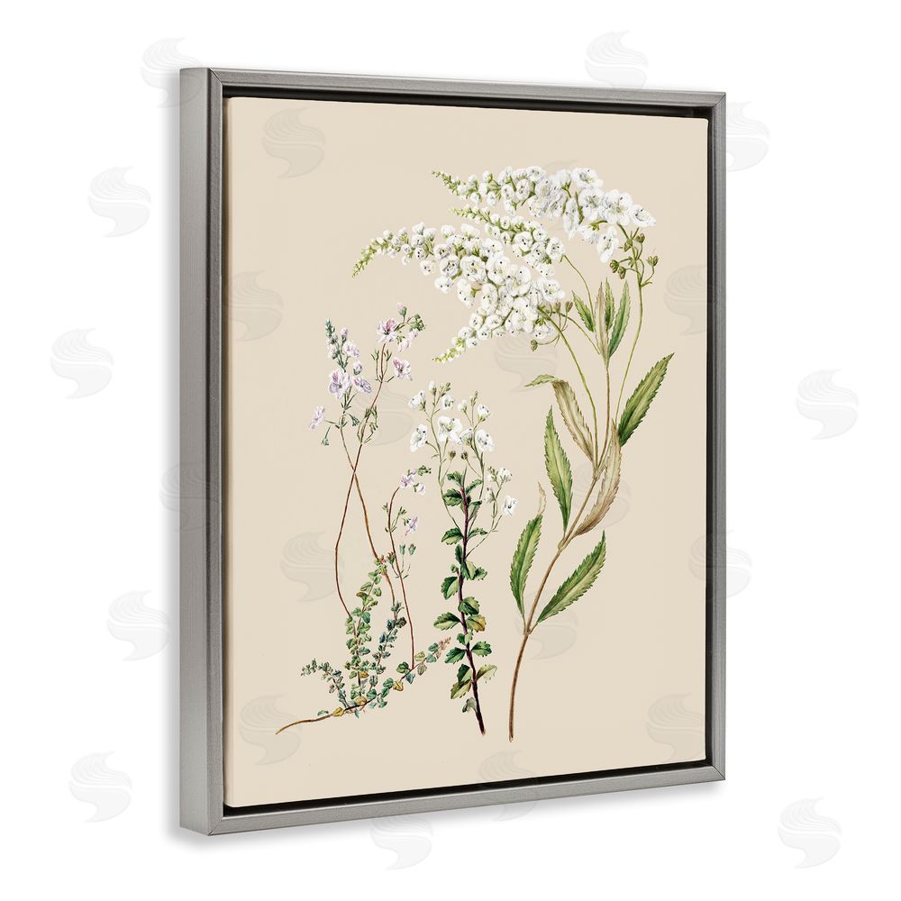 1x Curving White Wildflower Study Gray Floating Frame Canvas Wall Art Print