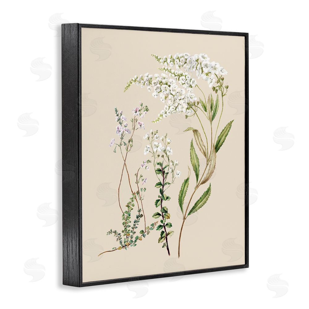 1x Curving White Wildflower Study Black Framed Giclee Wall Art Print