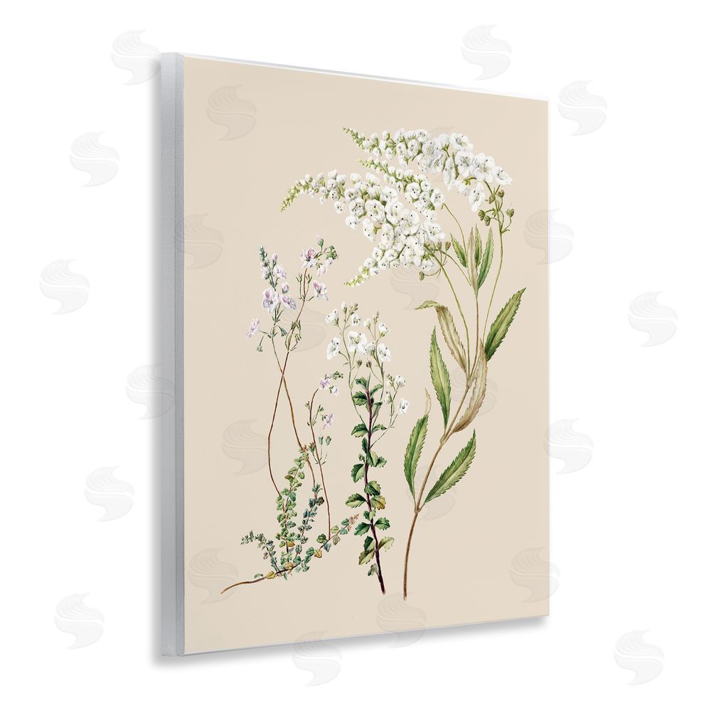 1x Curving White Wildflower Study Wooden Wall Plaque Art Print