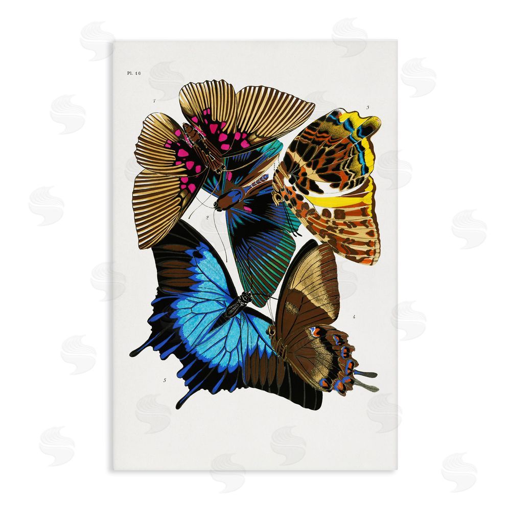 1x Victorian Naturalist Butterflies Stretched Canvas Wall Art Print