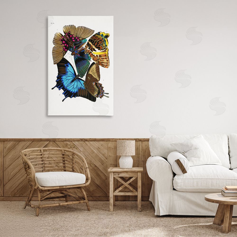 1x Victorian Naturalist Butterflies