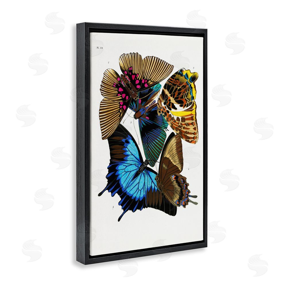 1x Victorian Naturalist Butterflies Black Floating Frame Canvas Wall Art Print