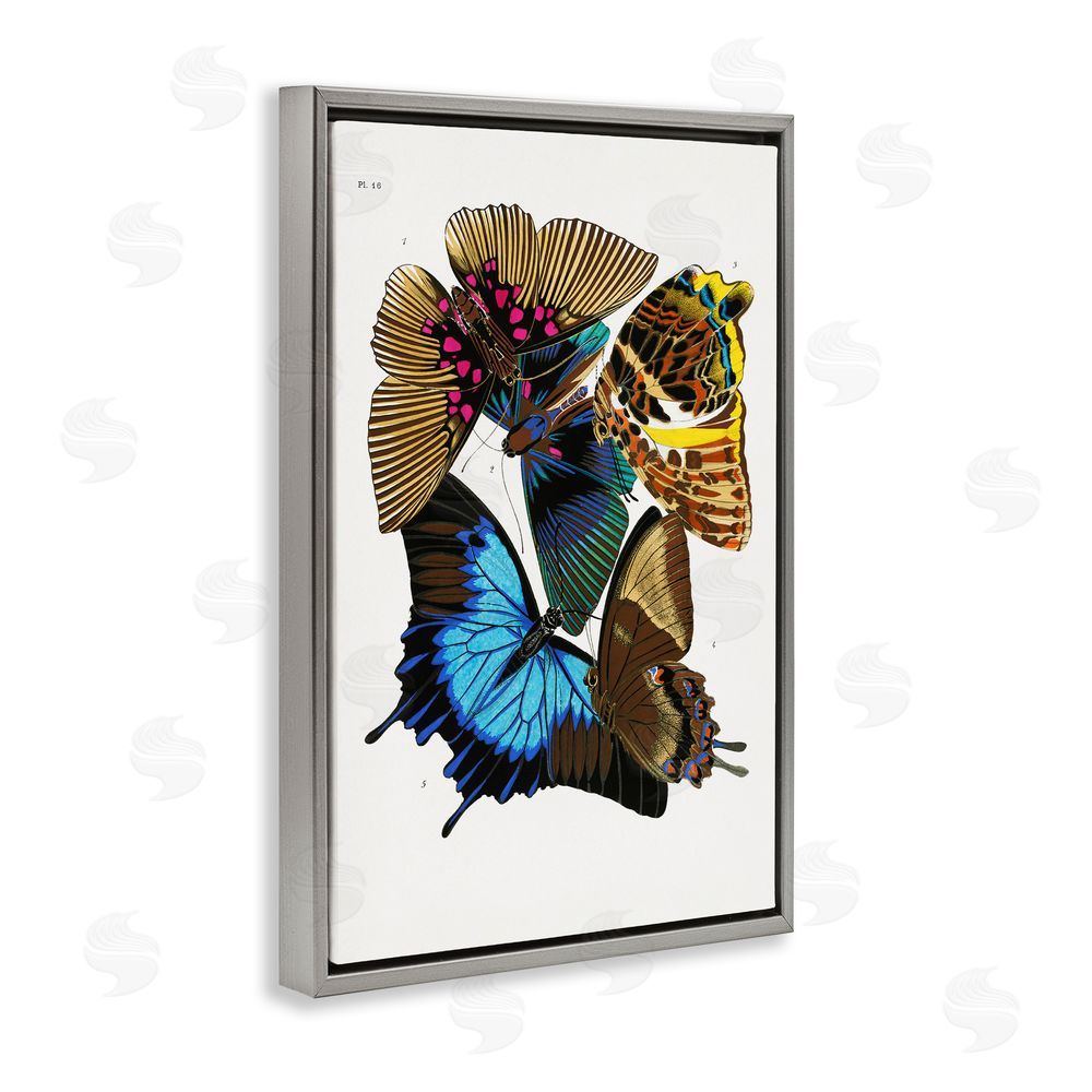 1x Victorian Naturalist Butterflies Gray Floating Frame Canvas Wall Art Print