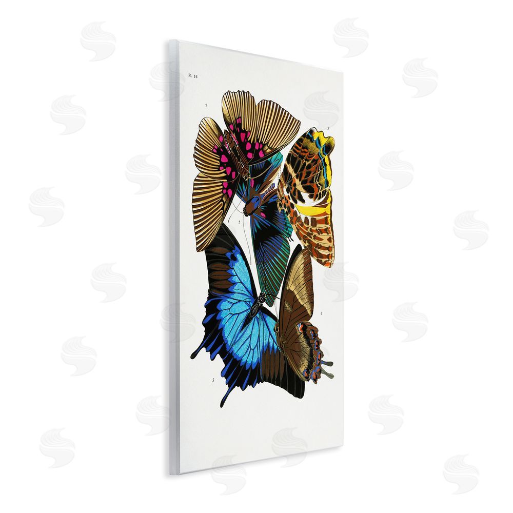 1x Victorian Naturalist Butterflies Wooden Wall Plaque Art Print