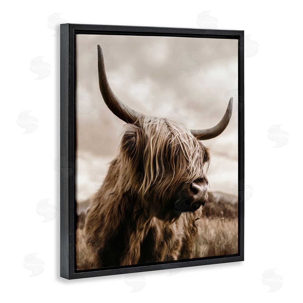CAD Designs Highland Cow on Windswept Moor Black Floating Frame Canvas Wall Art Print