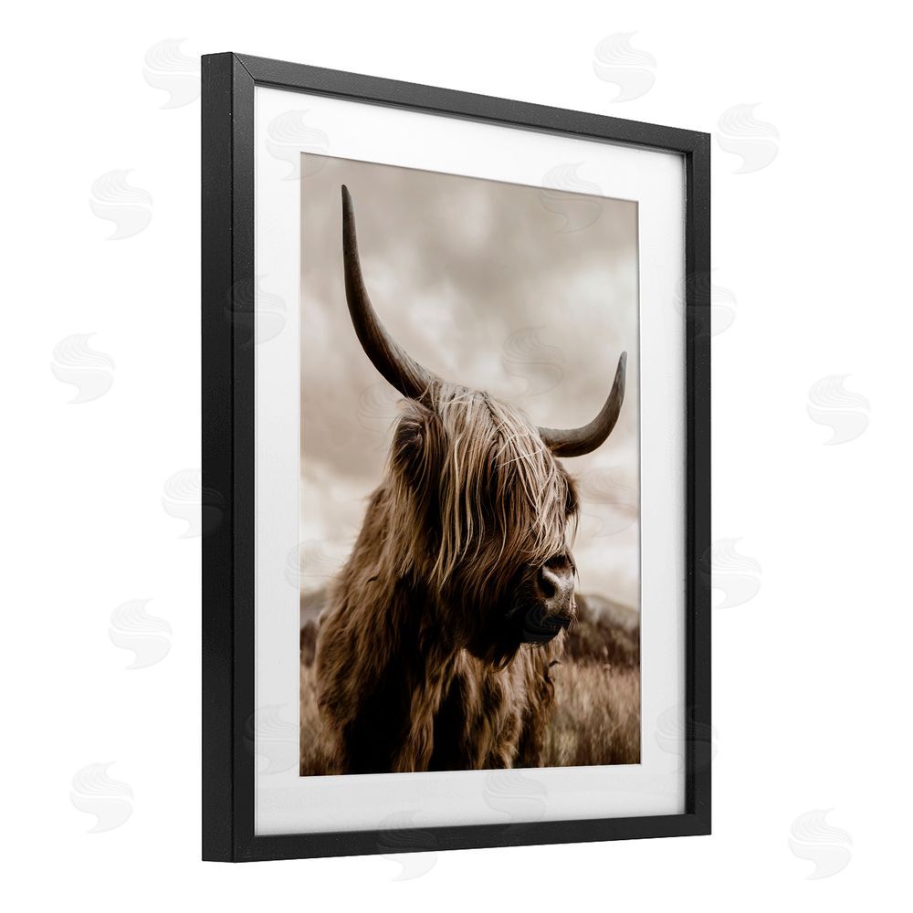 CAD Designs Highland Cow on Windswept Moor Black Framed Print Under Glass Wall Art
