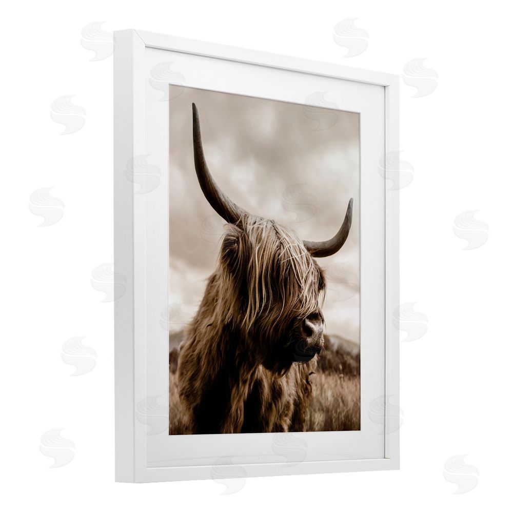CAD Designs Highland Cow on Windswept Moor White Framed Print Under Glass Wall Art