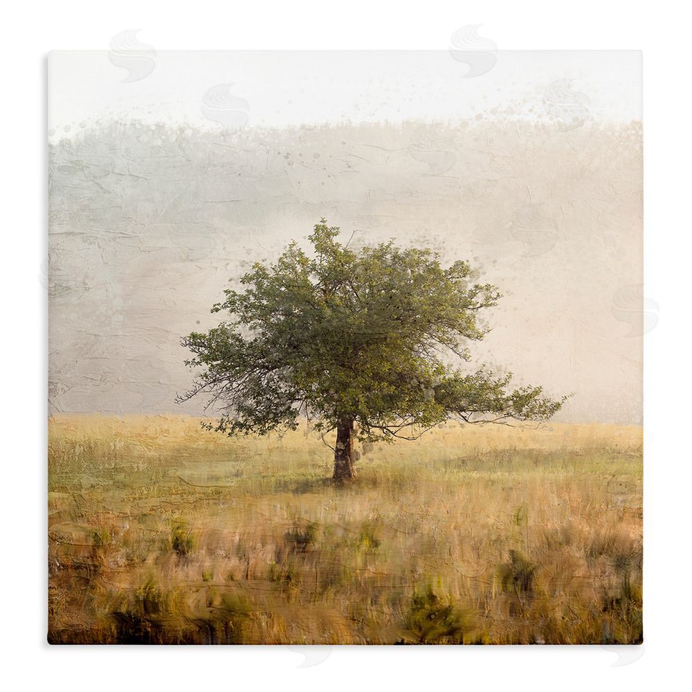 Anne Bailey Tree Alone in Golden Field Stretched Canvas Wall Art Print