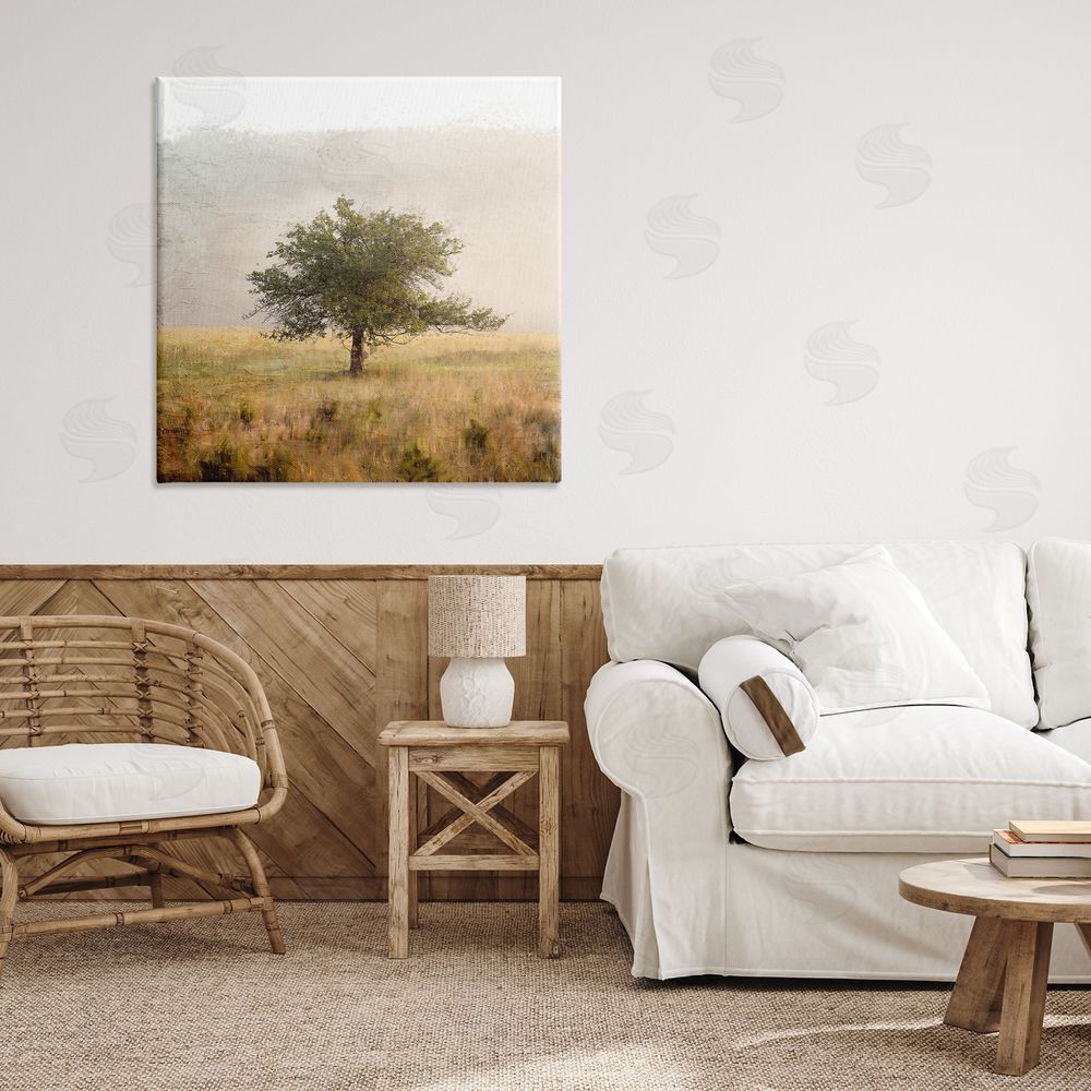 Anne Bailey Tree Alone in Golden Field Stretched Canvas Wall Art in Room