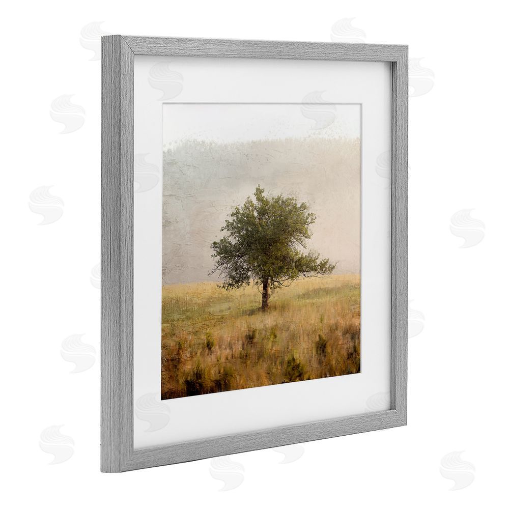Anne Bailey Tree Alone in Golden Field Gray Framed Print Under Glass Wall Art