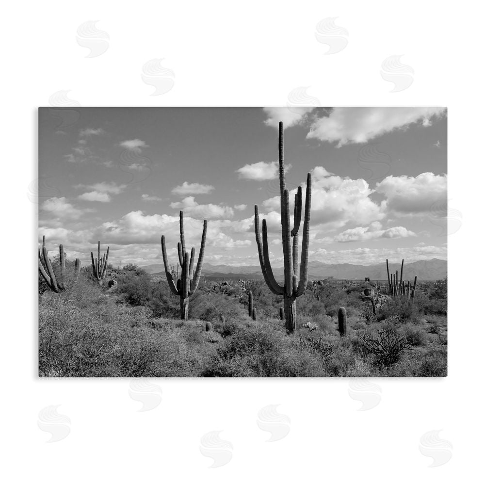 Michelle Hutchins Monochrome Saguaro Desert Vista Stretched Canvas Wall Art Print
