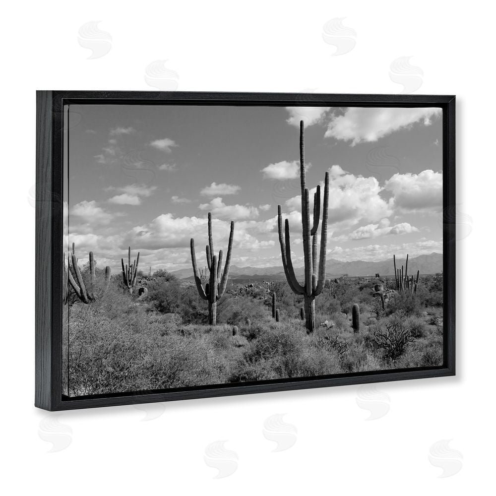 Michelle Hutchins Monochrome Saguaro Desert Vista Black Floating Frame Canvas Wall Art Print