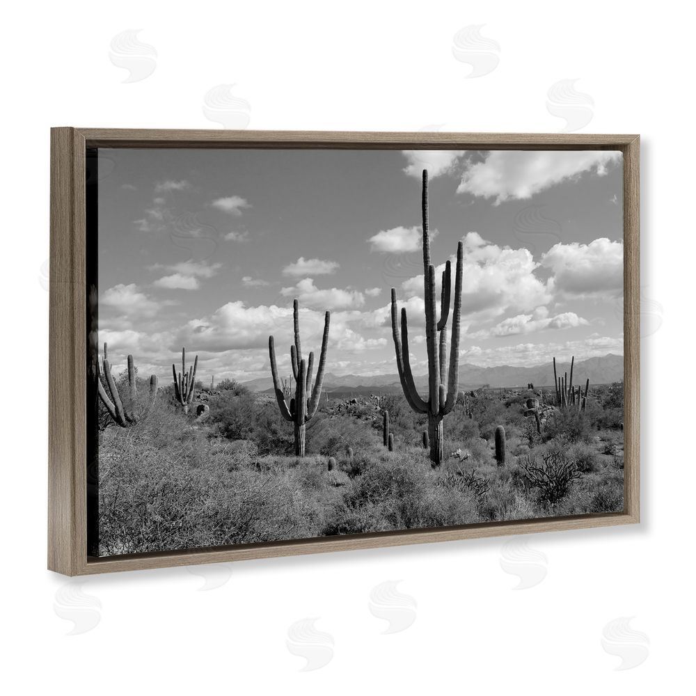 Michelle Hutchins Monochrome Saguaro Desert Vista Brown Floating Frame Canvas Wall Art Print