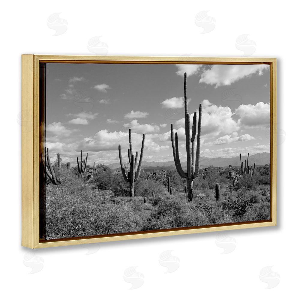 Michelle Hutchins Monochrome Saguaro Desert Vista Gold Floating Frame Canvas Wall Art Print