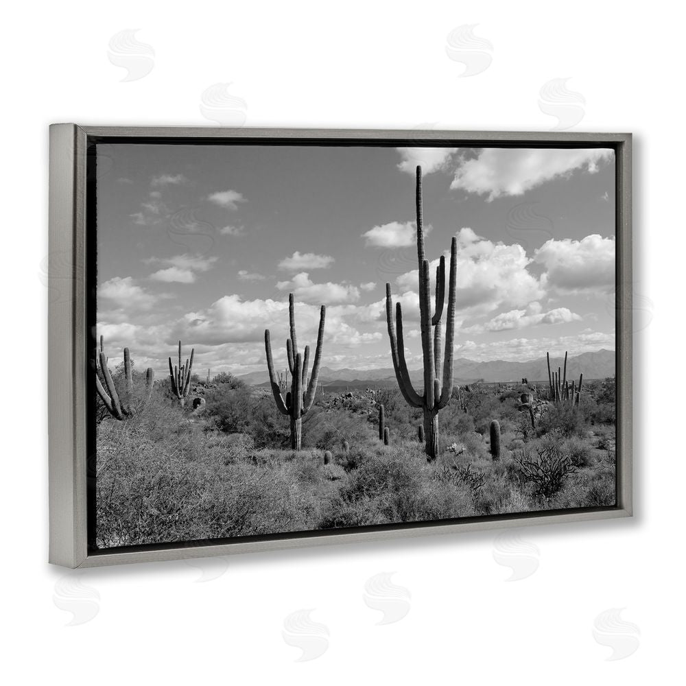 Michelle Hutchins Monochrome Saguaro Desert Vista Gray Floating Frame Canvas Wall Art Print