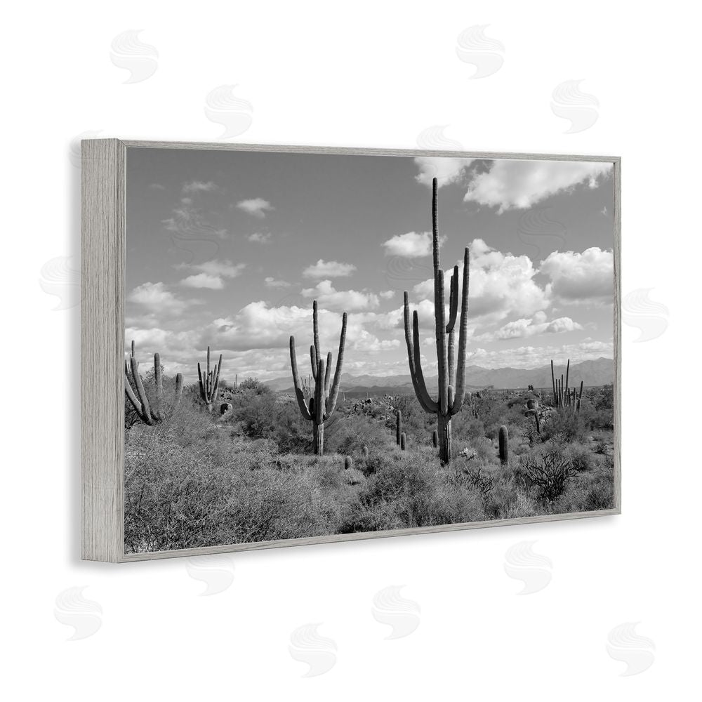 Michelle Hutchins Monochrome Saguaro Desert Vista Gray Framed Giclee Wall Art Print