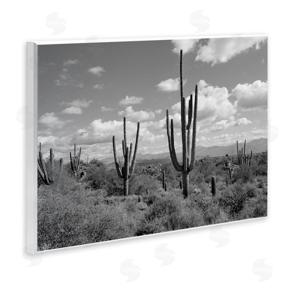 Michelle Hutchins Monochrome Saguaro Desert Vista Wooden Wall Plaque Art Print