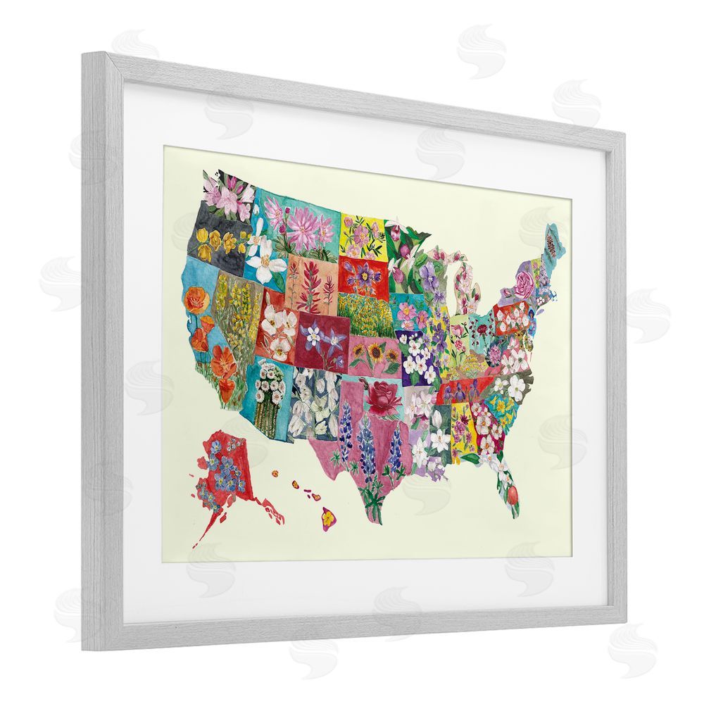 Josi Opolenstisima Botanical Map of State Flowers Gray Framed Print Under Glass Wall Art