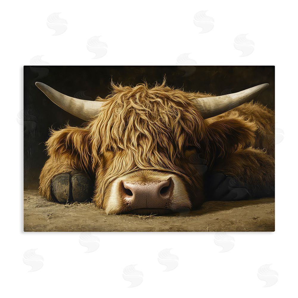 The Wands Want Sleeping Highland Cow & Hoof Stretched Canvas Wall Art Print