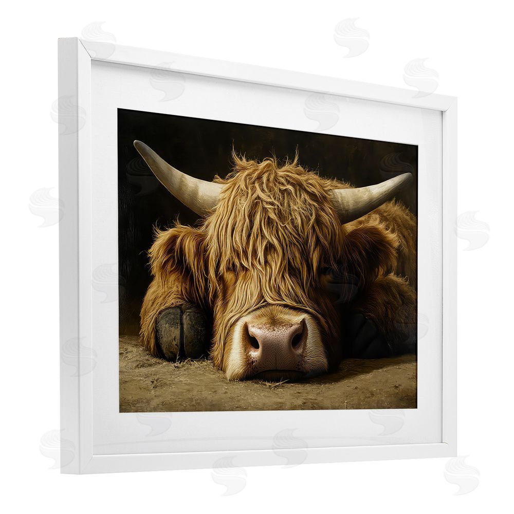 The Wands Want Sleeping Highland Cow & Hoof White Framed Print Under Glass Wall Art