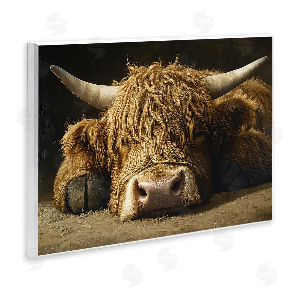 The Wands Want Sleeping Highland Cow & Hoof Wooden Wall Plaque Art Print