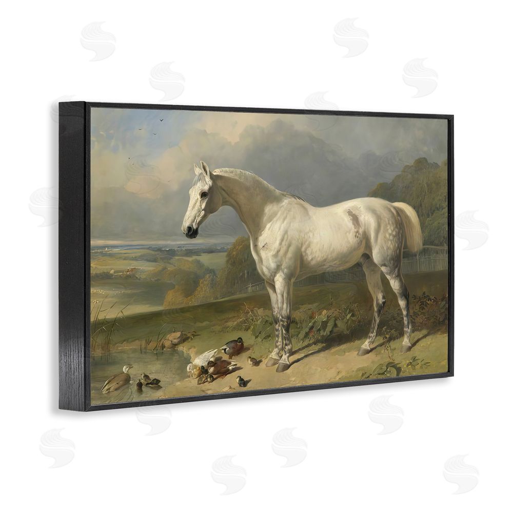 Tina LeCour Grey Horse And Ducks In Landscape Black Framed Giclee Wall Art Print