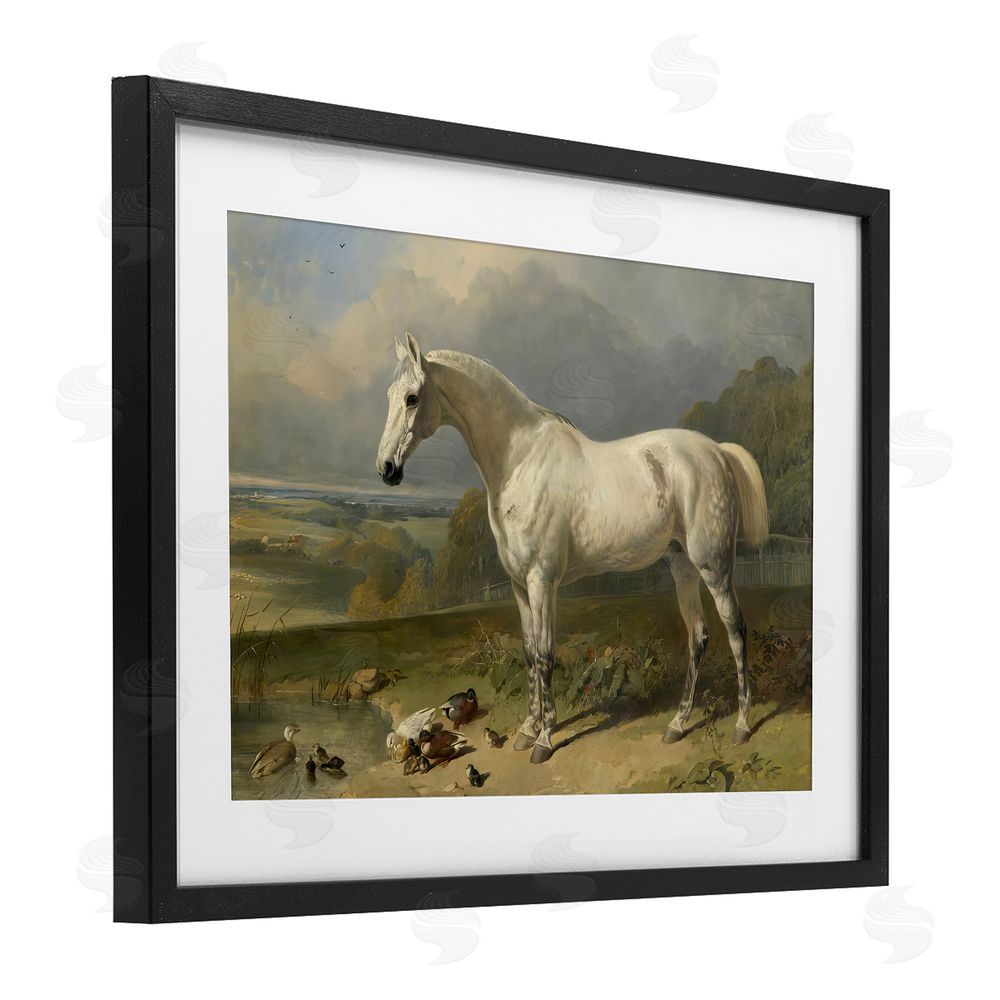 Tina LeCour Grey Horse And Ducks In Landscape Black Framed Print Under Glass Wall Art