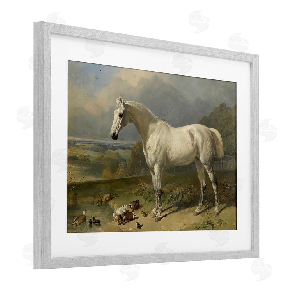 Tina LeCour Grey Horse And Ducks In Landscape Gray Framed Print Under Glass Wall Art