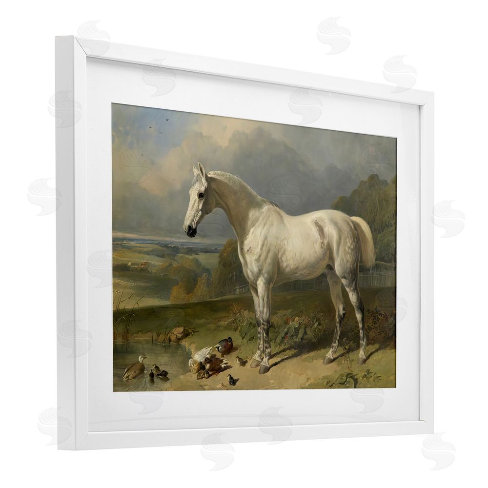 Tina LeCour Grey Horse And Ducks In Landscape White Framed Print Under Glass Wall Art