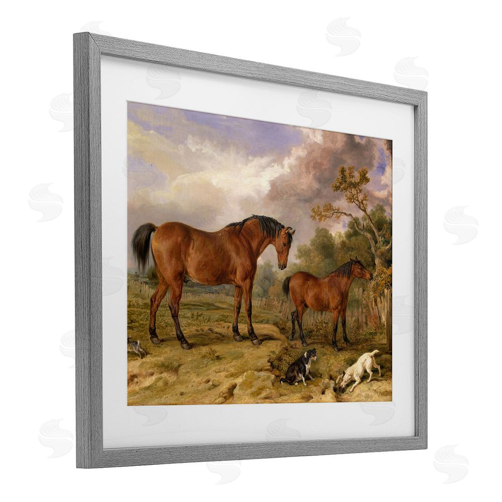Tina LeCour Classic Portrait of Horses Gray Framed Print Under Glass Wall Art