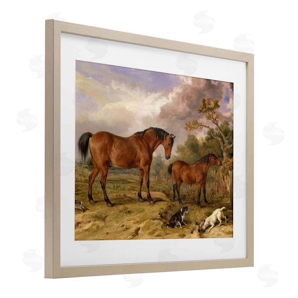 Tina LeCour Classic Portrait of Horses Brown Framed Print Under Glass Wall Art
