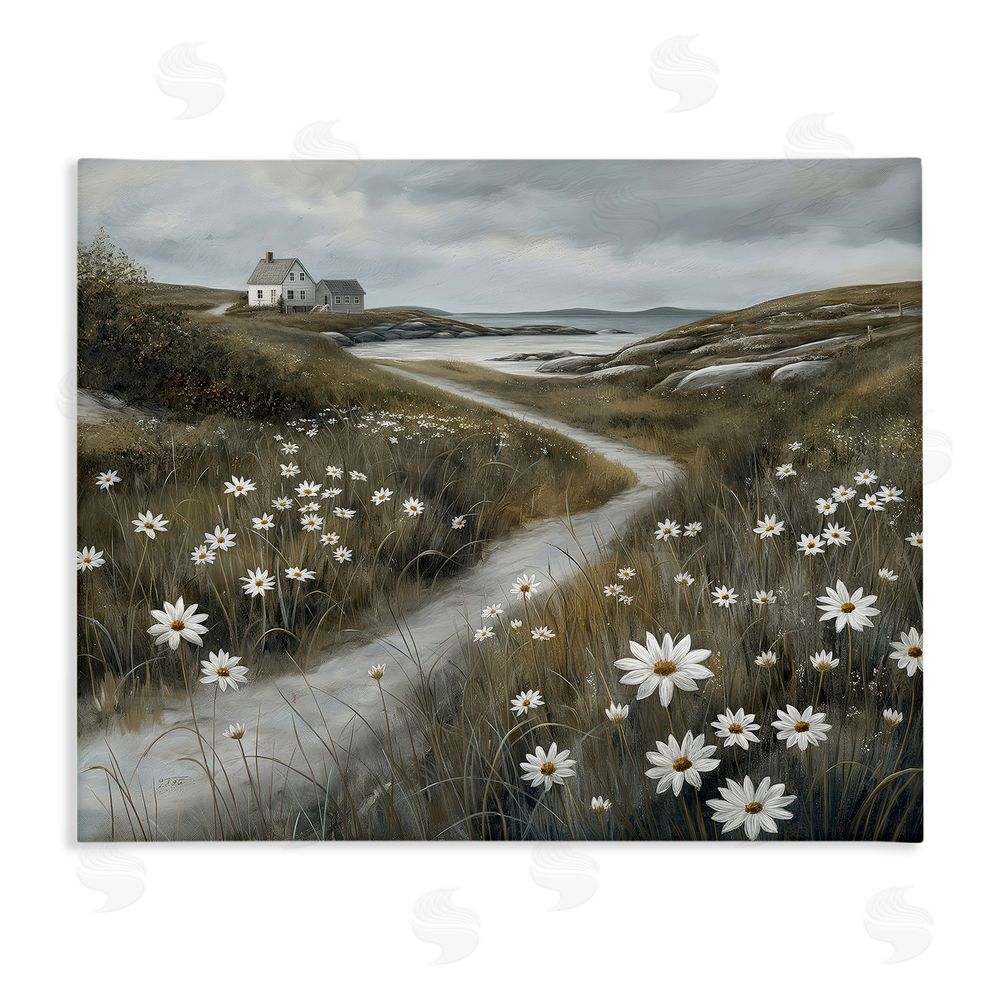 Imagine It Images Daisies Along Coastal Path Stretched Canvas Wall Art Print