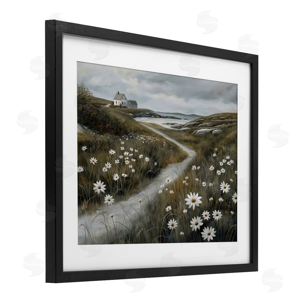 Imagine It Images Daisies Along Coastal Path Black Framed Print Under Glass Wall Art