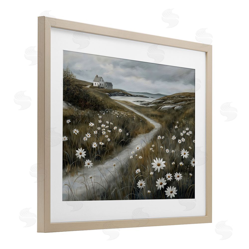 Imagine It Images Daisies Along Coastal Path Brown Framed Print Under Glass Wall Art